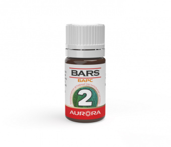 БАРС (BARS) -2